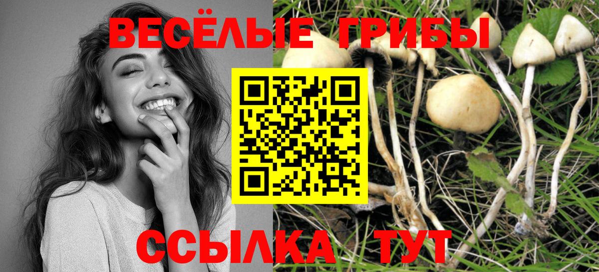 Галлюциногенные грибы ЛСД Рузаевка