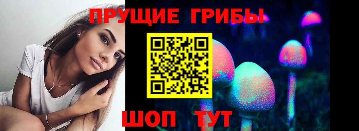 купить закладку  Галлюциногенные грибы мухоморы  Рузаевка  Вход с VPN  Псилоцибиновые грибы Psilocybine cubensis 